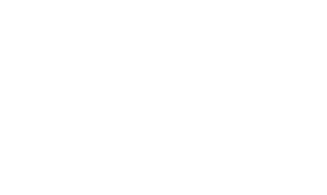 Wessex Quarters WQ White logo 2023